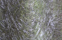 Tachbrook Mallory fibreglass roof work